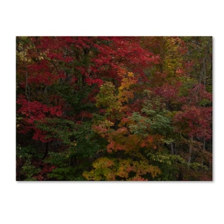 Kurt Shaffer 'Why I Love Autumn' Canvas Art,18x24